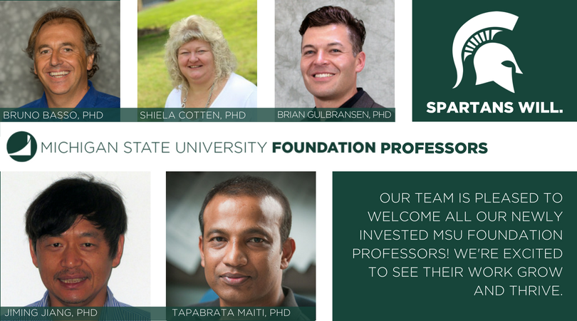 Picture of Named Foundation Professors