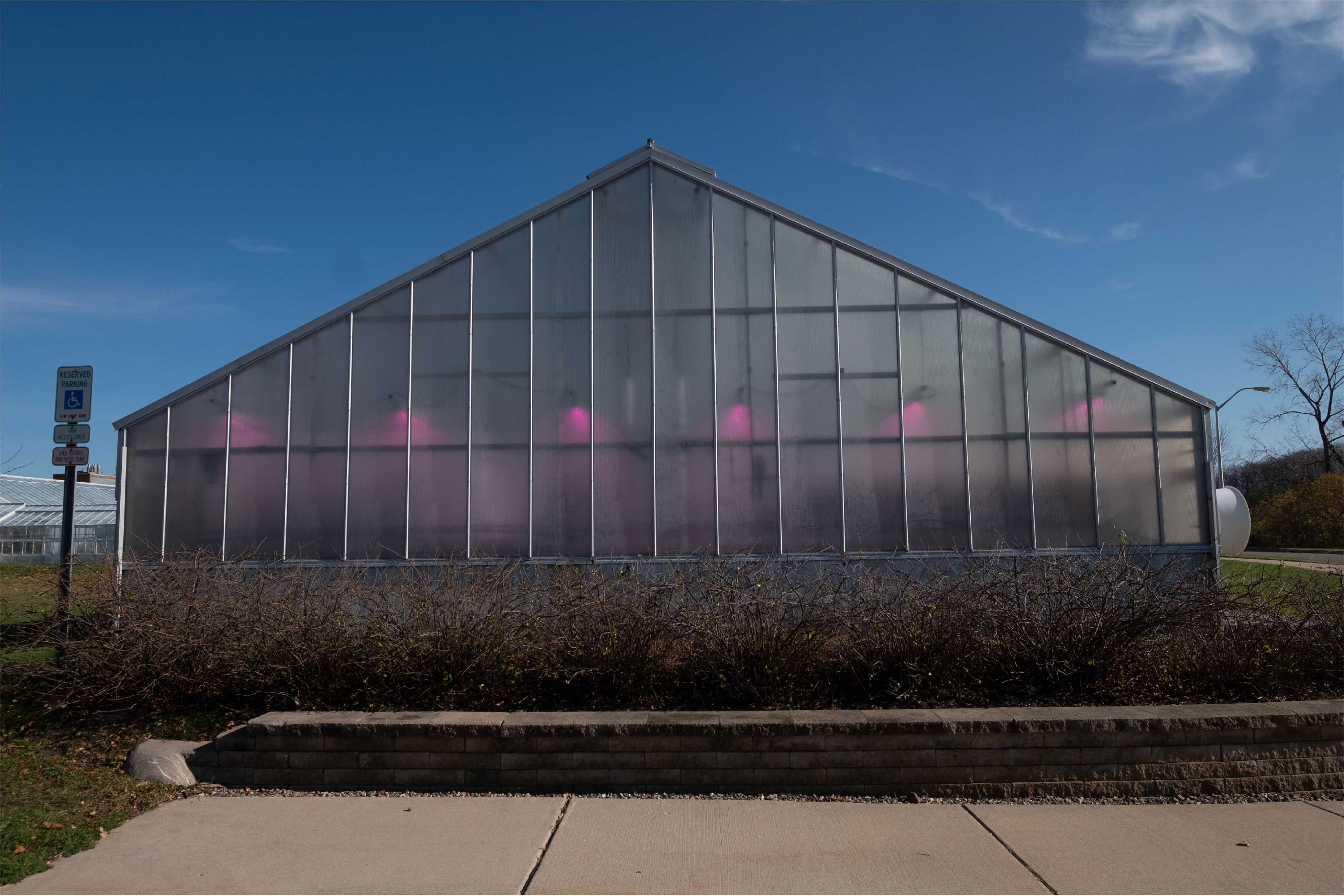 Exterior view of a greenhouse with pink LED lights inside